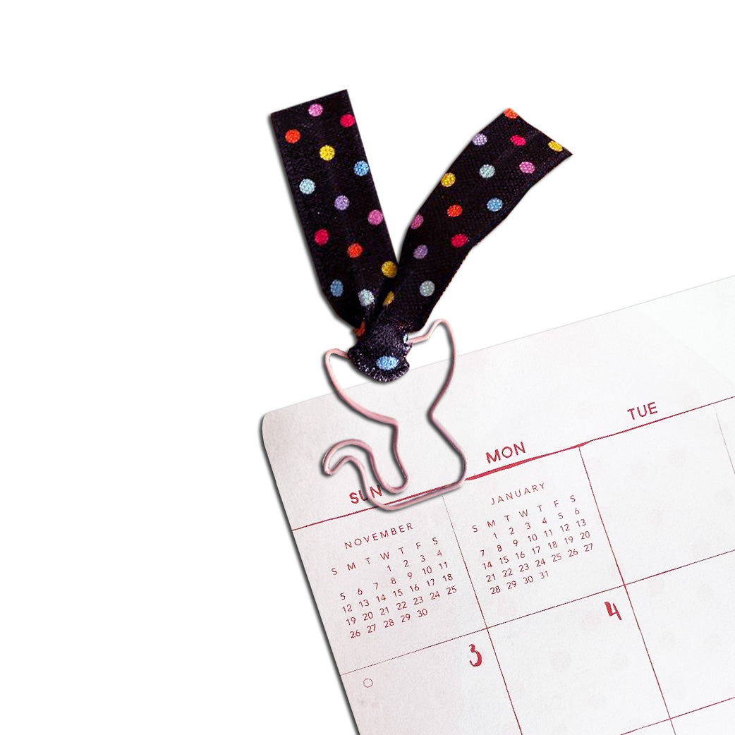 Animals - Pale Mauve Cat