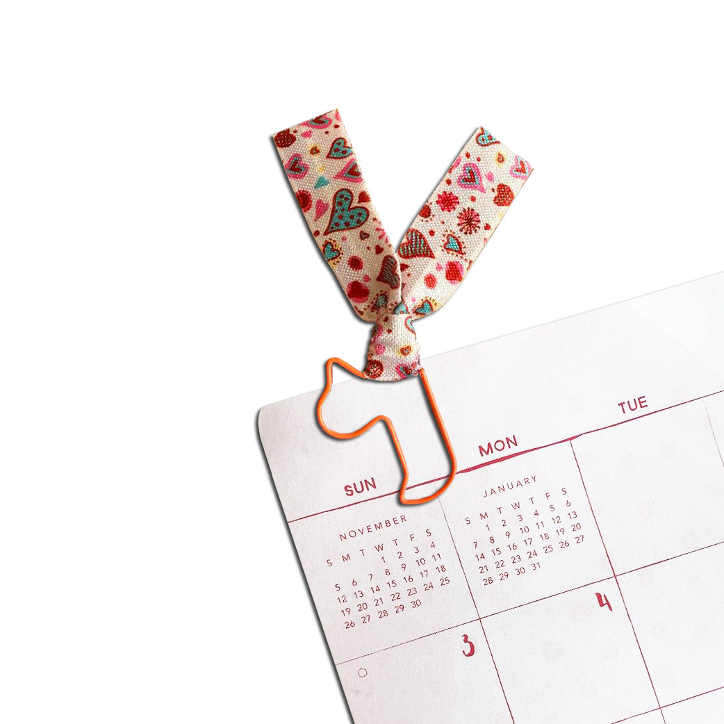 Animals - Orange Duck