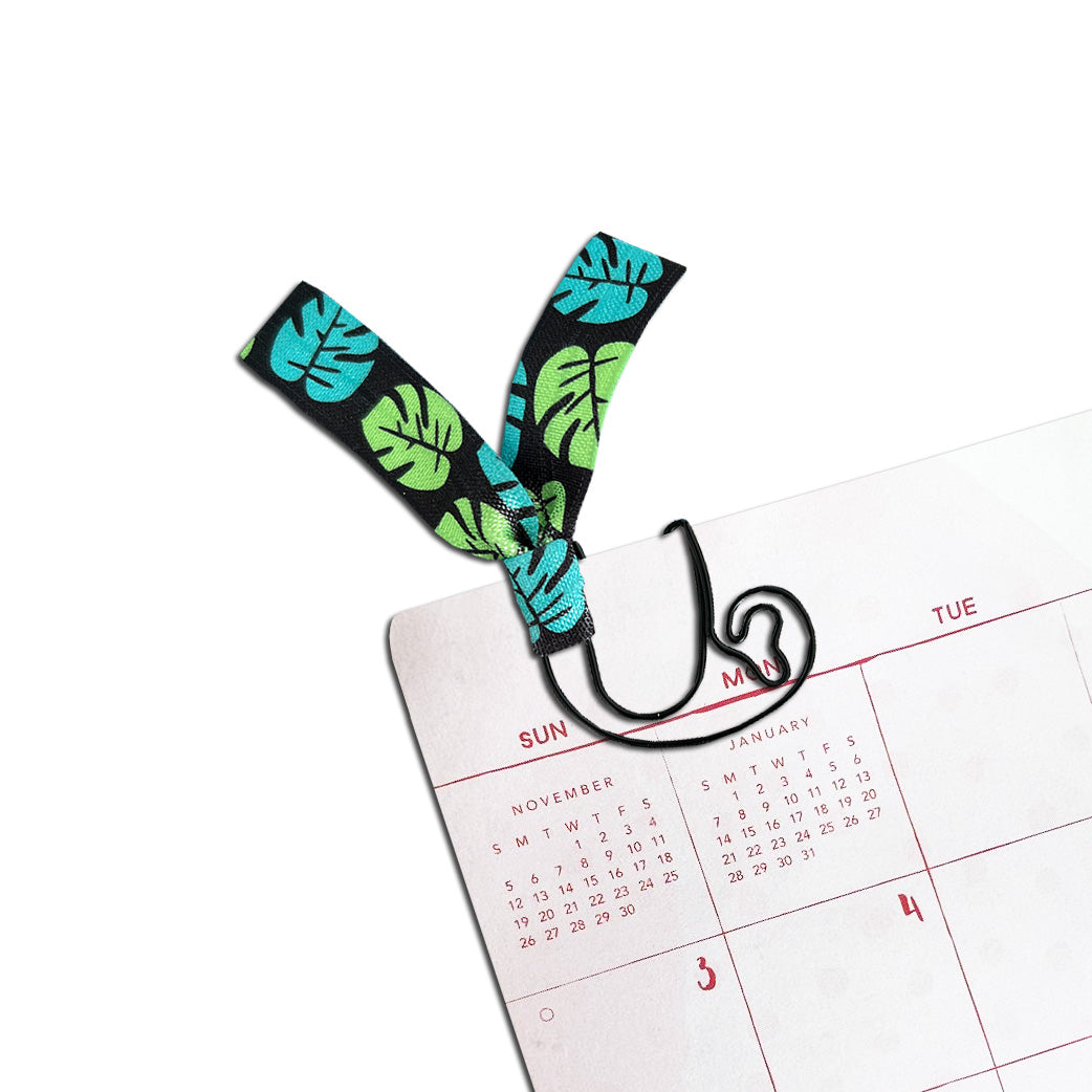 Animals - Black Sloth