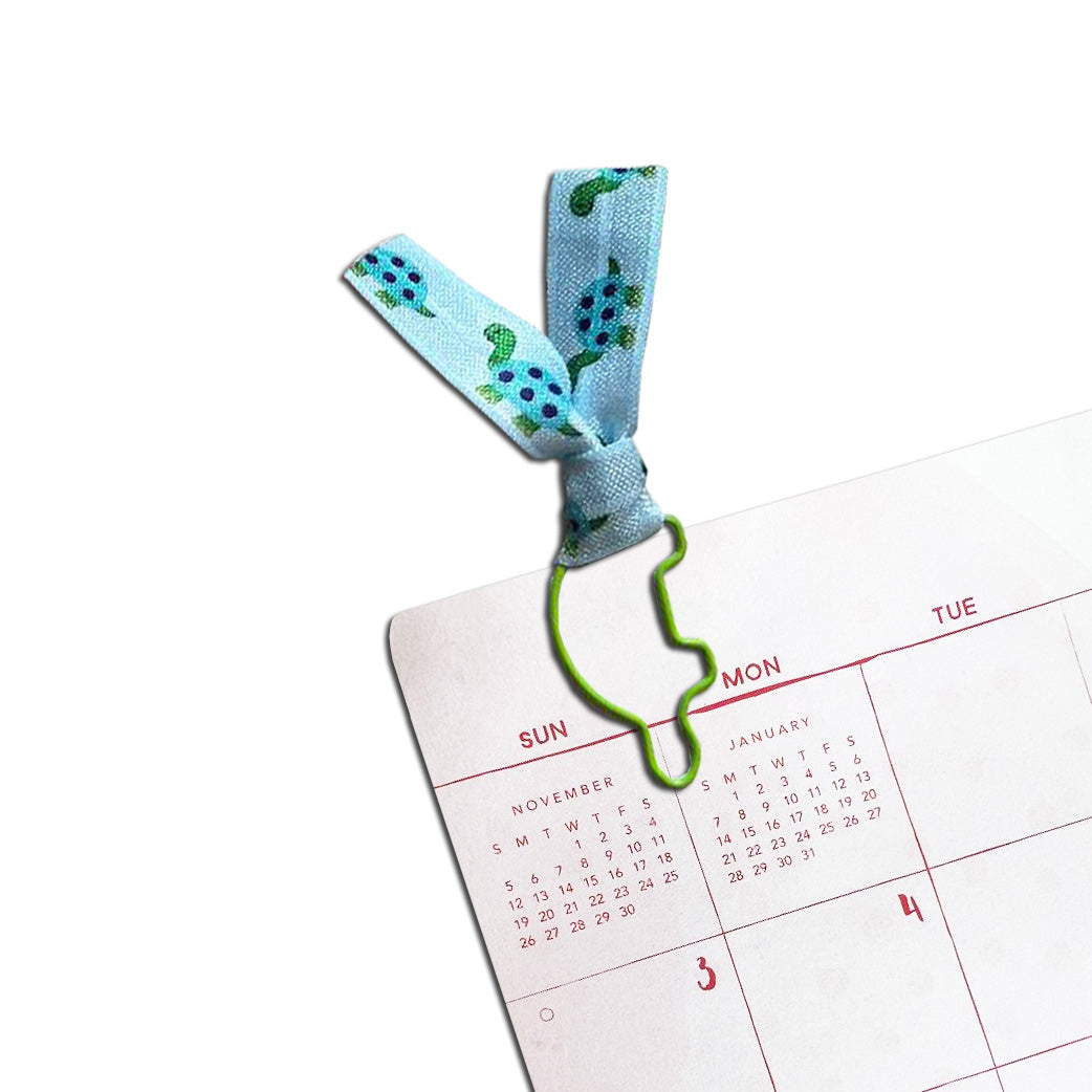 Animals - Green Turtle